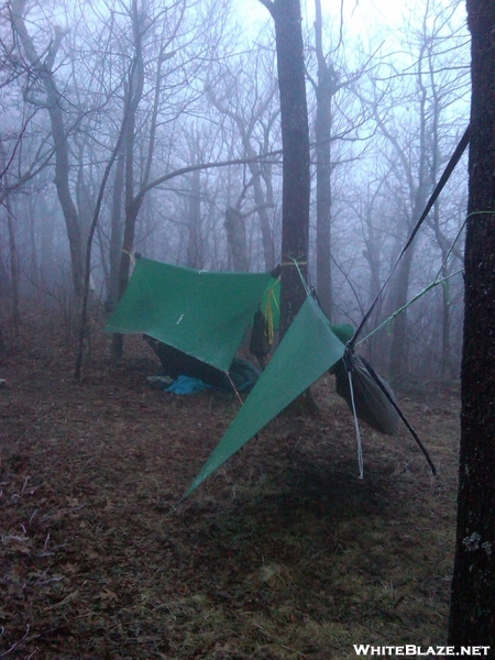 New Year's Eve Springer Mtn.