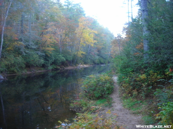 Autumn Views On The Chattooga River