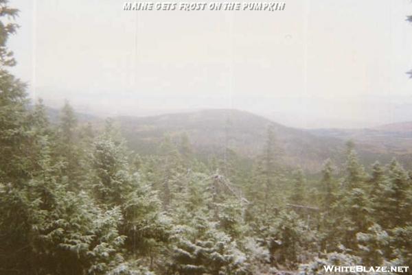 Maine Frost