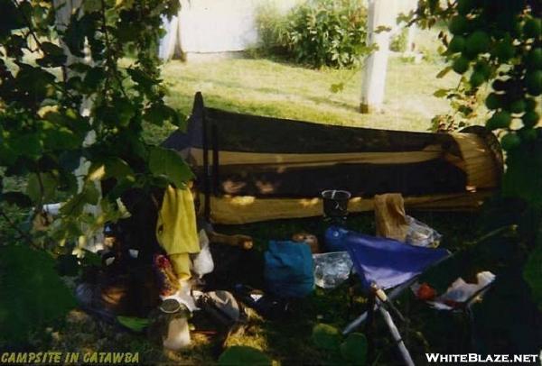 The Camp In Grape Arbor-Catawba