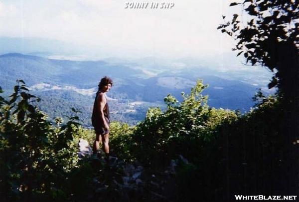 Sonny In Shenandoah National Park