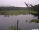 Beaver_Pond_near_Congdon_Shelter by Bob McCaw in Views in Vermont