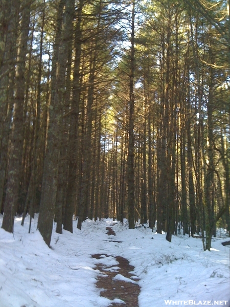 Wapiti Shelter