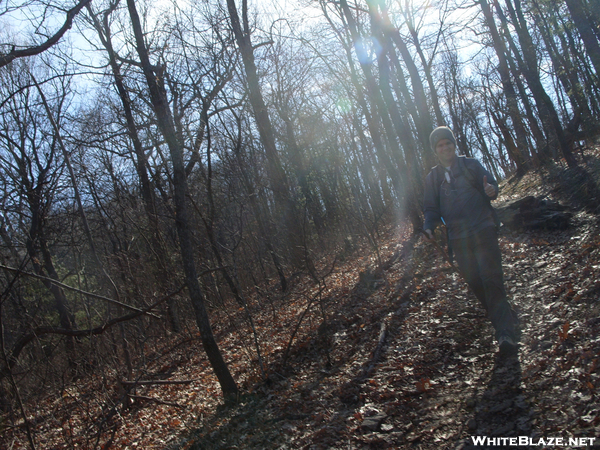 Hogpen Gap To Neels Gap - Day Hike