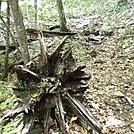 June Section Unicoi to Winding Stair Gap