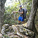 Is this thing an ENT? Looks like it's walking over the rock by buzzamania in Section Hikers