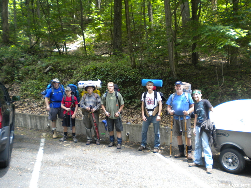 Buzzybeetle And Venture Scouters