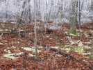 Winter Wonderland by rampli in Views in Virginia & West Virginia