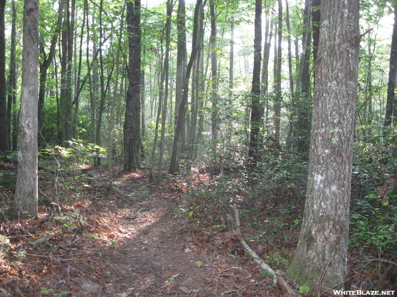 Hobbs Cabin Fall Hike