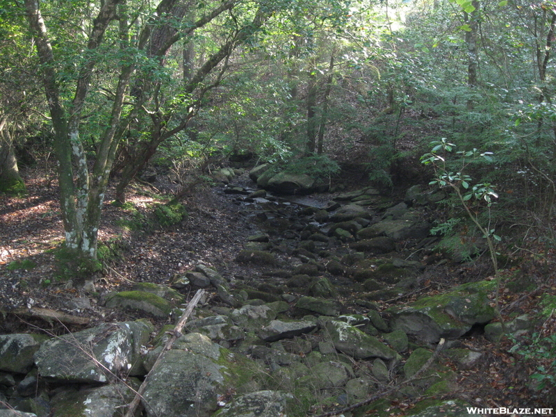 Hobbs Cabin Fall Hike