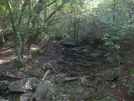 Hobbs Cabin Fall Hike