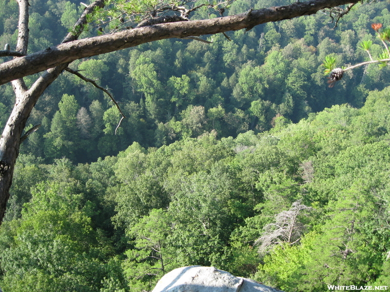 Hobbs Cabin Fall Hike