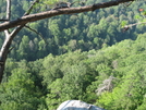 Hobbs Cabin Fall Hike by YaZOO in Views in North Carolina & Tennessee