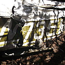 Plane crash site on Grandfather Mountain.