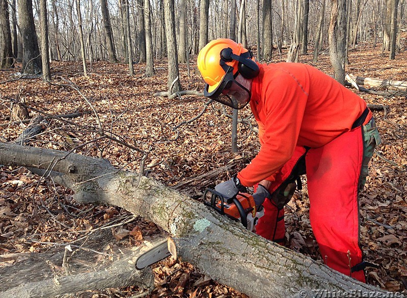 Dick Potteiger cutting a blowdown