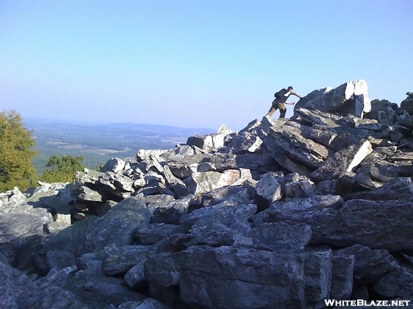 Bake Oven Knob