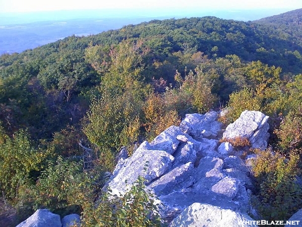 Bake Oven Knob