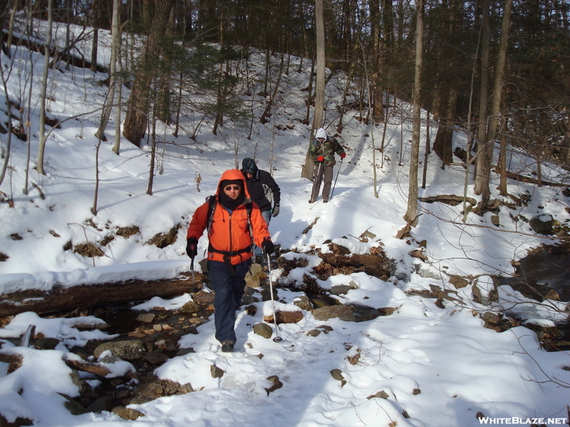 Near Fitzgerald Falls Jan 25 2009