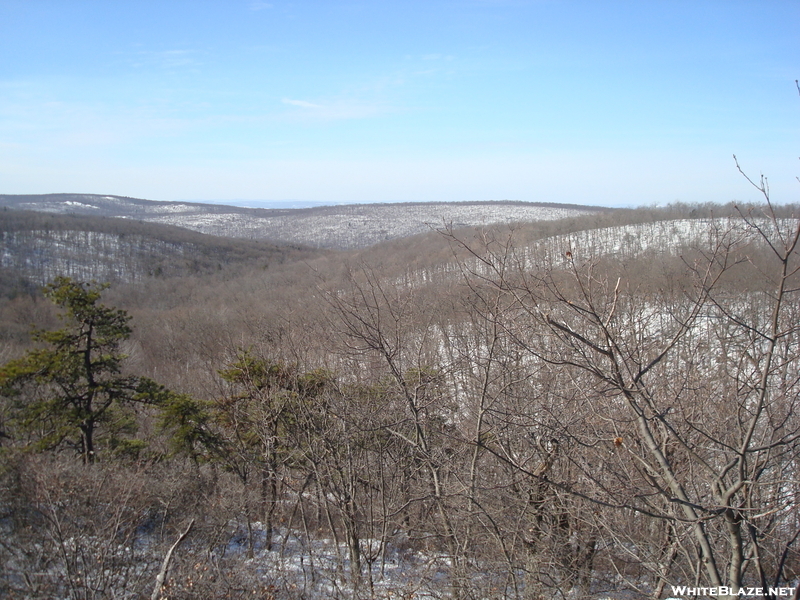 View From Allis Trail 1/25/2009