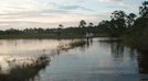 Florida Trail Swamp Walk by MagicSFK in Other Trails