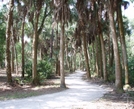 Florida Trail by MagicSFK in Other Trails