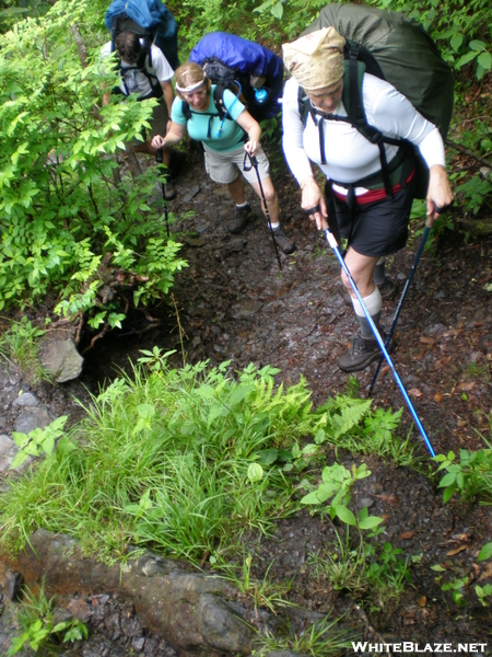 Newfound Gap To Fontana 2009