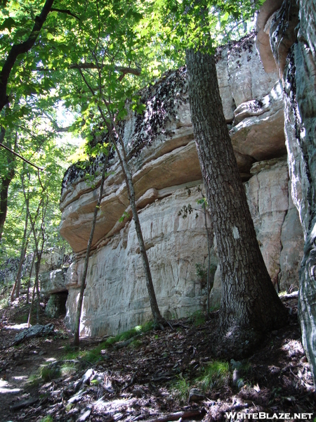 Tinker Cliffs