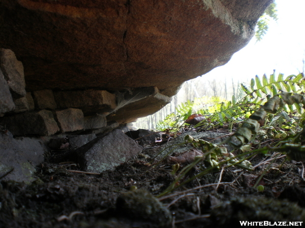 A Snakes Front Door