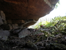 A Snakes Front Door by DYLANATION in Day Hikers