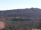 Evergreen by Belew in Views in Virginia & West Virginia