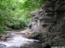 A.T. south side of Pond Mountain by Belew in Views in North Carolina & Tennessee