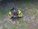 Jack The Hiking Dog!