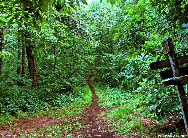 Unicoi To Dick's Creek Gap