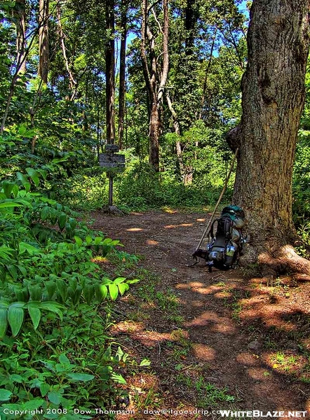 Unicoi To Dick's Creek Gap