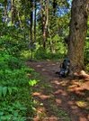 Unicoi To Dick's Creek Gap by Dow in Trail & Blazes in Georgia