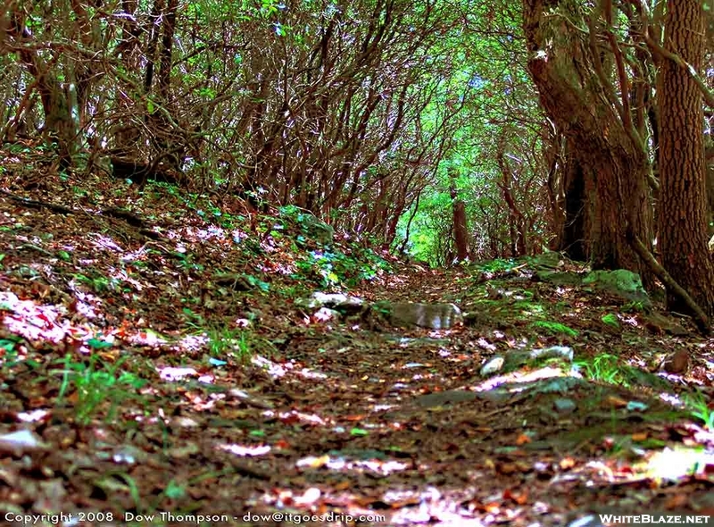 Unicoi To Dick's Creek Gap