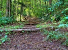 Unicoi To Dick's Creek Gap by Dow in Trail & Blazes in Georgia