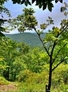 Unicoi To Dick's Creek Gap by Dow in Trail & Blazes in Georgia