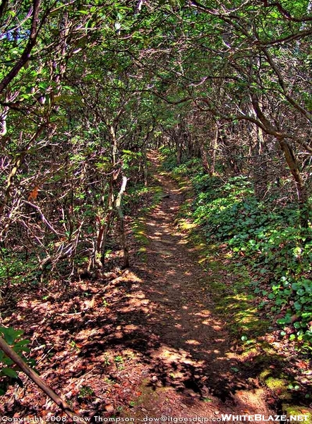 Unicoi To Dick's Creek Gap