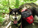 Bodhi Near Jarrod Gap by jbone in Views in Georgia