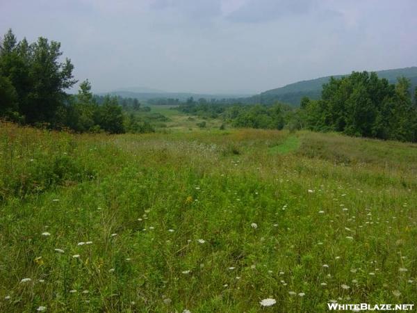 Meadow near Tyringham