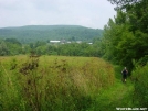 Old Estate by tribes in Trail and Blazes in Massachusetts