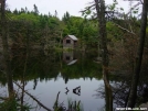 Old Cabin by tribes in Trail and Blazes in Massachusetts