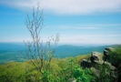 At - North Shenandoah by scaredykat in Section Hikers