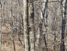 Section Hike Dick's Creek Gap To Neels Gap Nov 08 by Pointman in Other