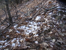 Section Hike Dick's Creek Gap To Neels Gap Nov 08