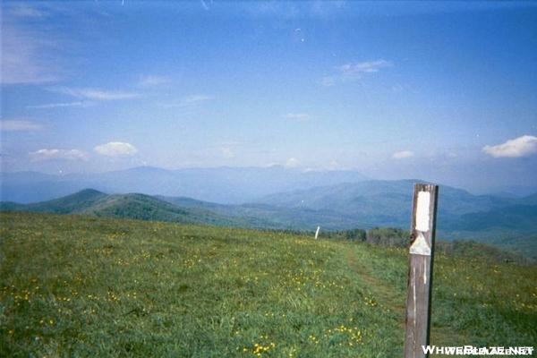 Max Patch 1