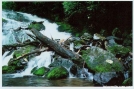 Indian Creek Falls - GSMNP
