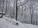 Cumberland Gap - November 2008 by Christus Cowboy in Other Trails