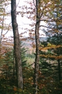 White Mountains In Fall